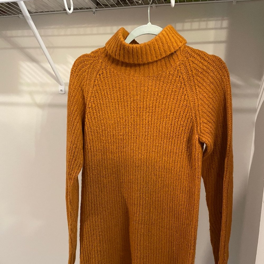 Francesca's Sweaterdress Long Sleeve Brown Tan